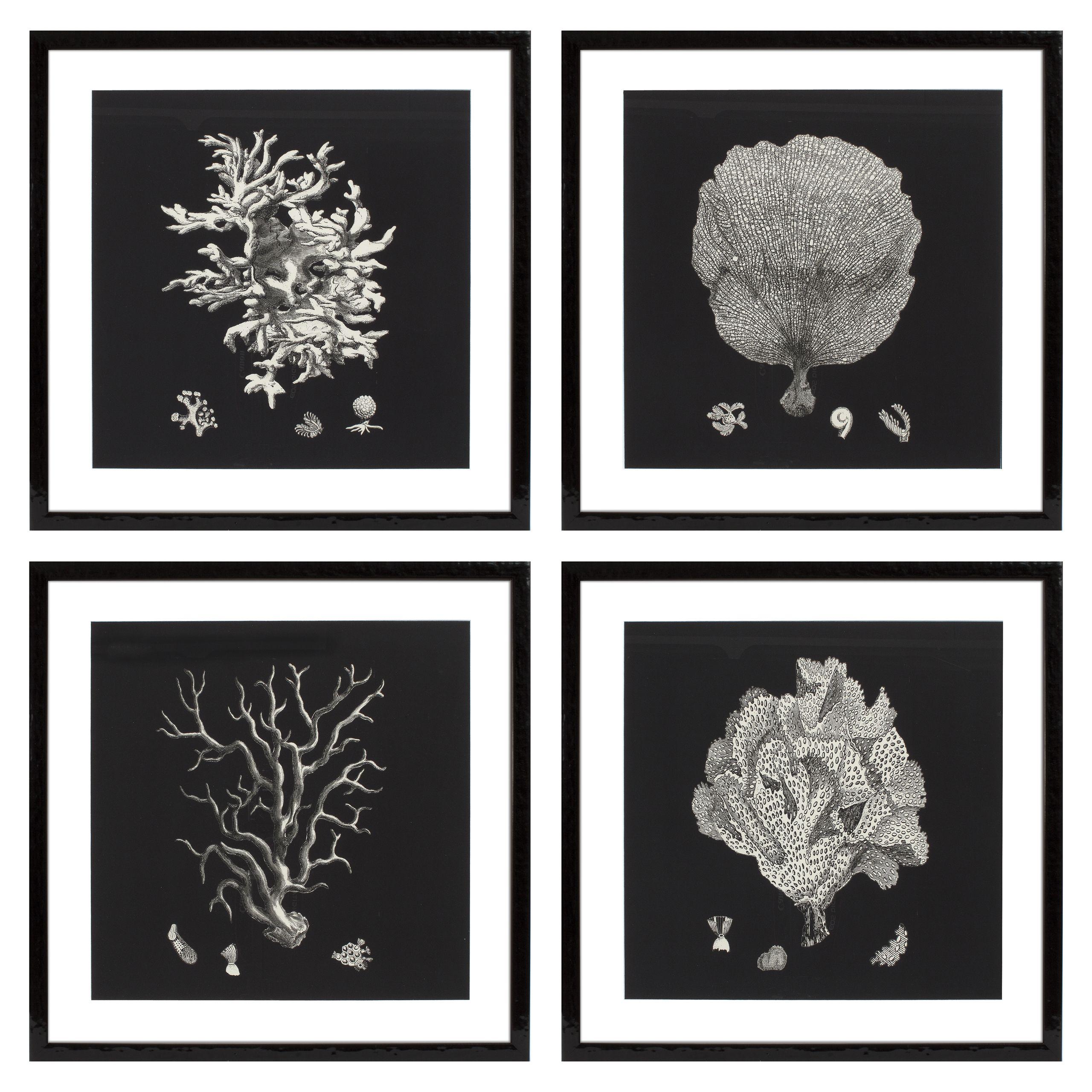Купить Набор постеров Prints Black & Tan Corals set of 4 в интернет-магазине roooms.ru