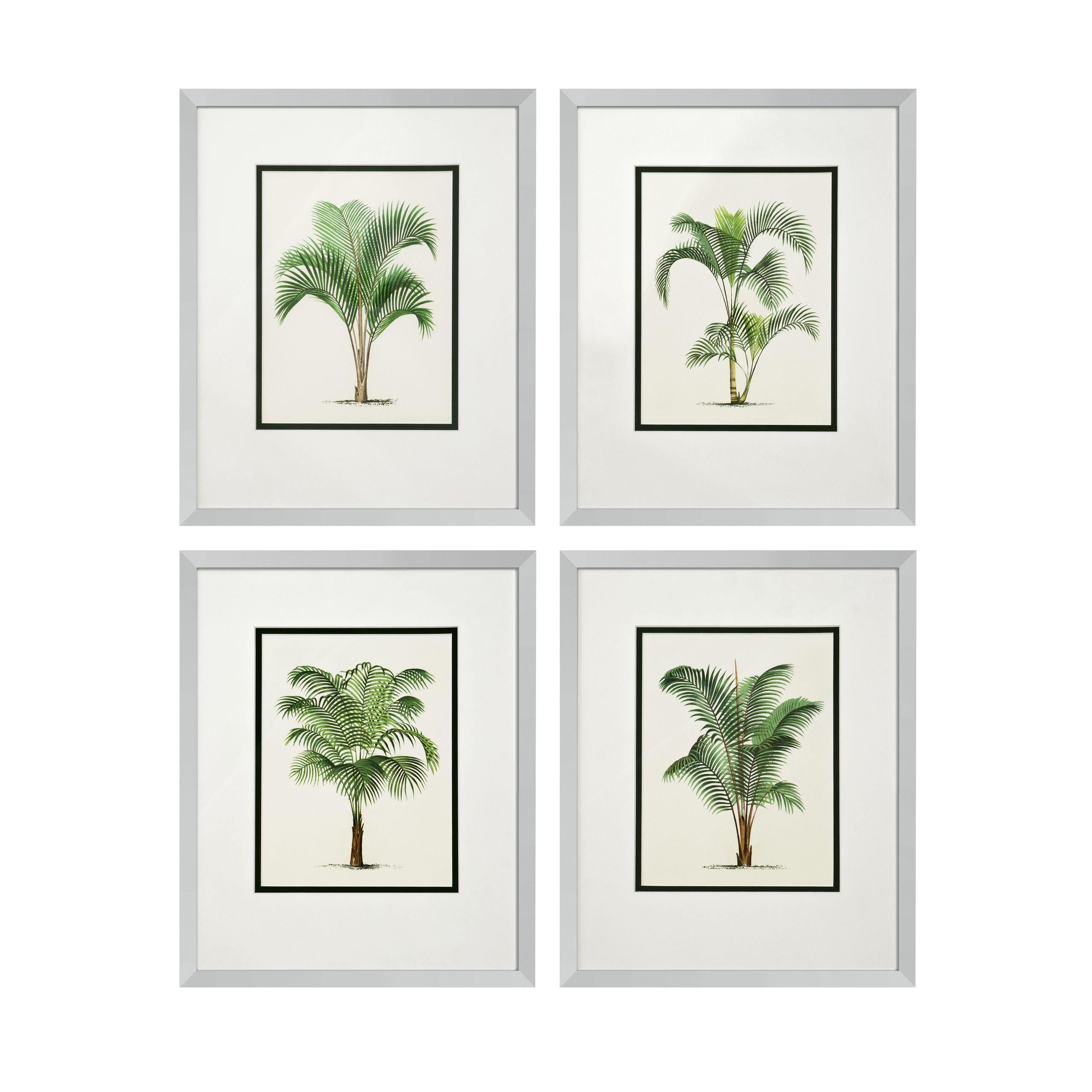 Купить Набор постеров Prints Palms set of 4 в интернет-магазине roooms.ru