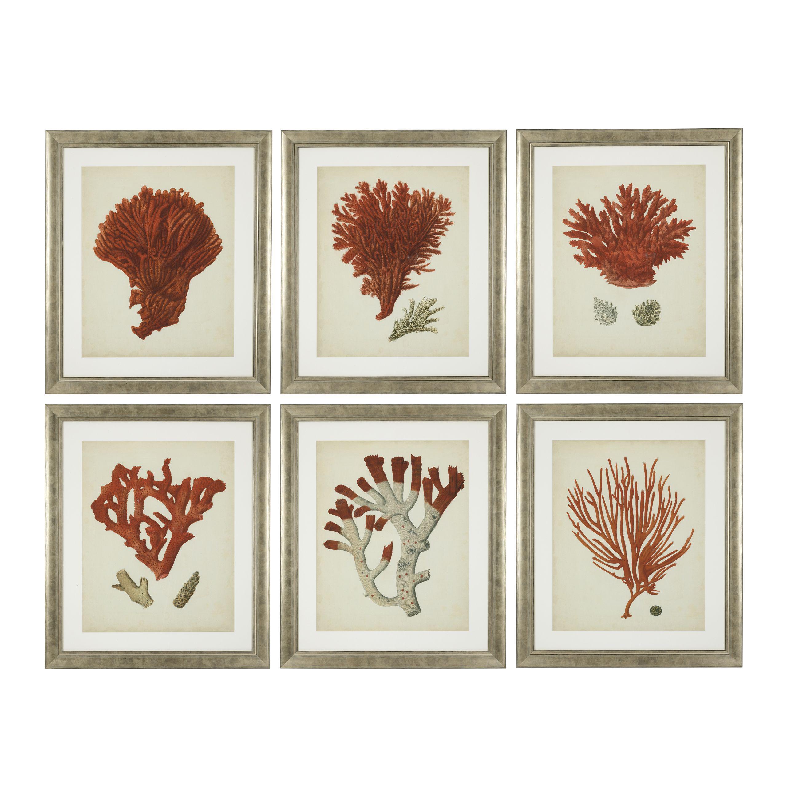 Купить Набор постеров Prints Antique red corals set of 6 в интернет-магазине roooms.ru