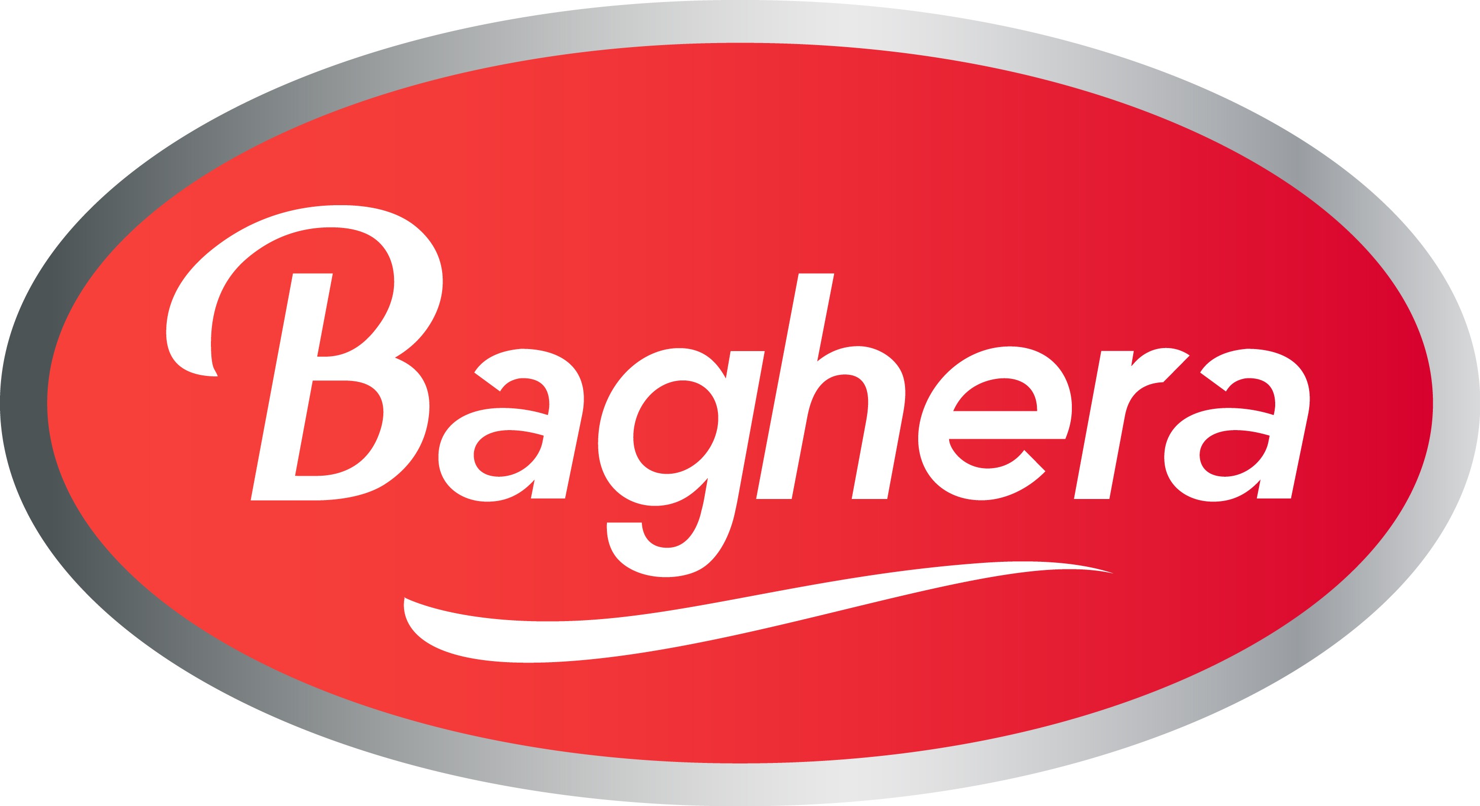 Логотип Baghera