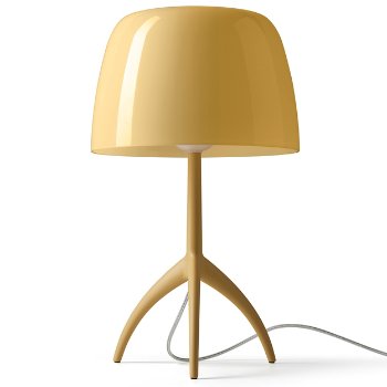 Купить Настольная лампа Lumiere Nuances Table Lamp в интернет-магазине roooms.ru