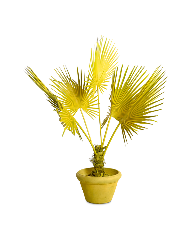 Yellow Plastic leavesIron inside plastic stemClay pot