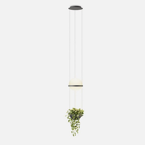 Купить Подвесной светильник Palma 3724 Planter LED Pendant в интернет-магазине roooms.ru