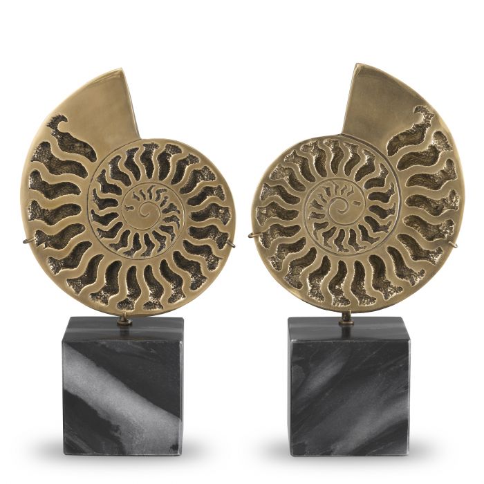 Купить Статуэтка Object Ammonite set of 2 в интернет-магазине roooms.ru