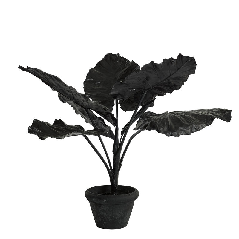 Black Plastic leavesIron inside plastic stemClay pot