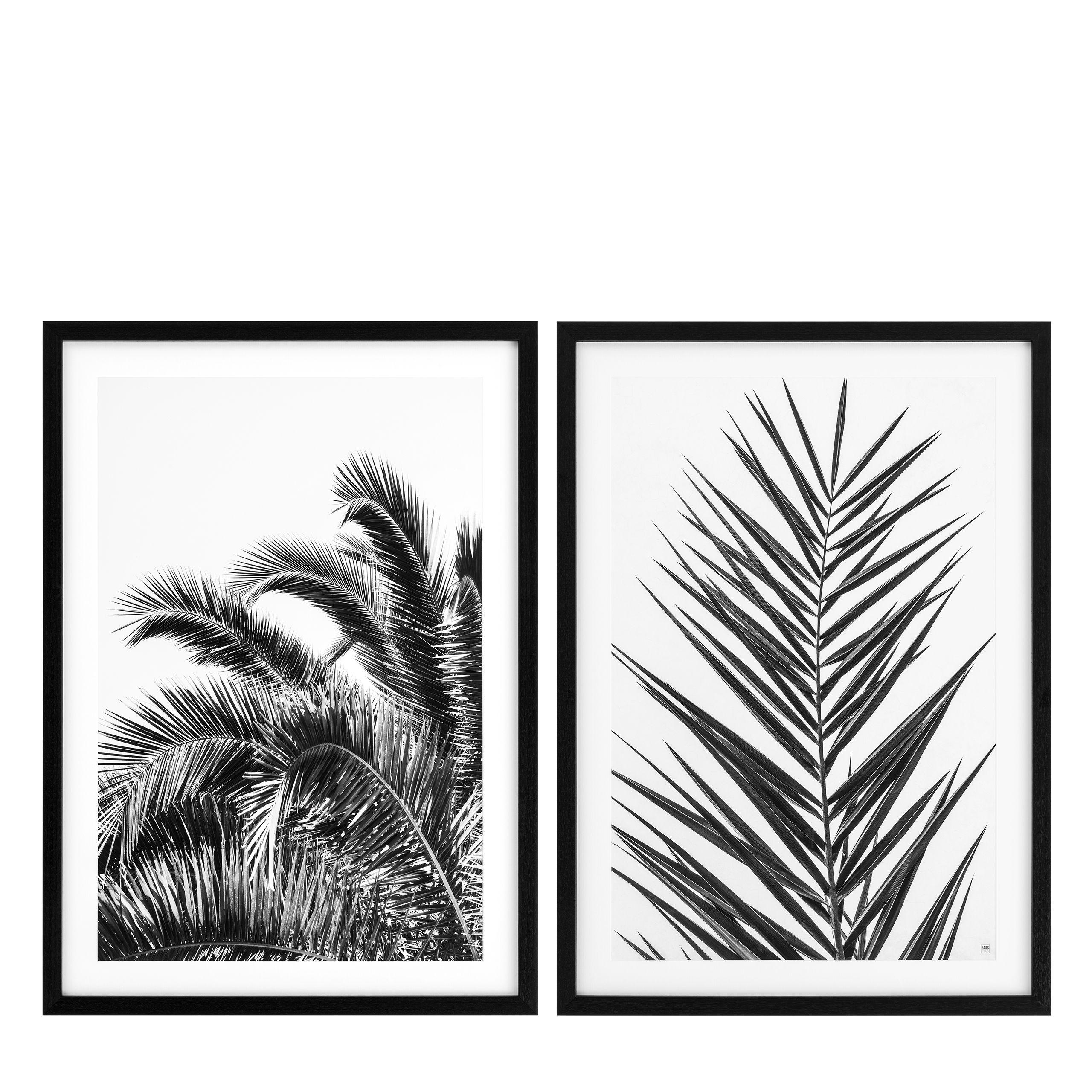 Купить Набор постеров Prints Palm Leaves set of 2 в интернет-магазине roooms.ru